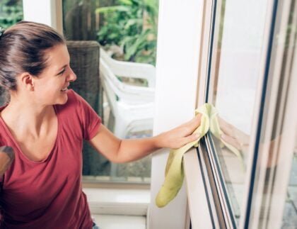 cleaning window seal