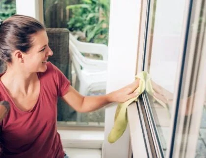 cleaning window seal